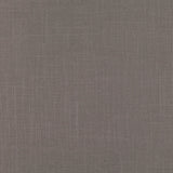 Asuri Tygprov Rhodium