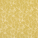 Acacia - Cubis Tygprov Quince