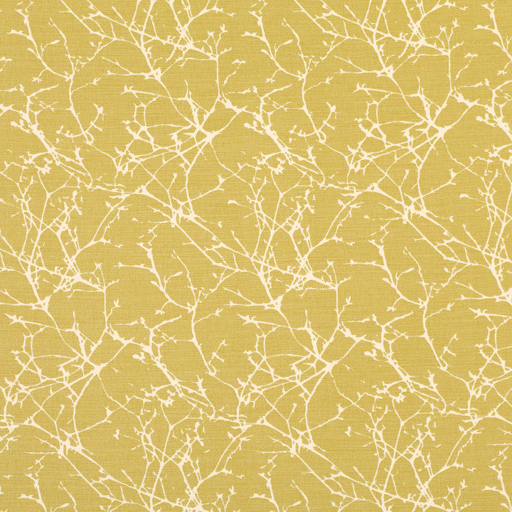 Acacia - Cubis Tygprov — Romo