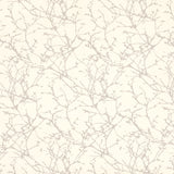 Acacia Tygprov - Oyster