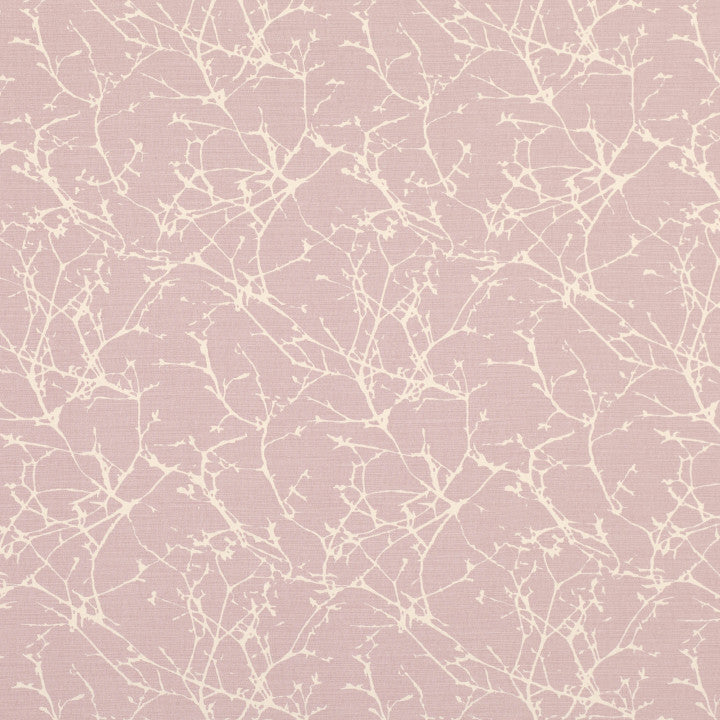 Acacia - Cubis Tygprov Rose Quartz