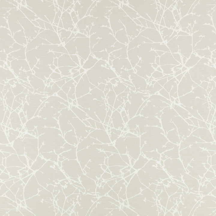 Acacia Shell - Romo tyg