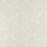 Acacia Tygprov - Shell