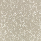 Acacia Tygprov - String