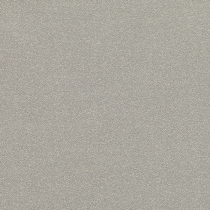 Clio Tygprov Cobblestone