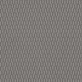Oxana Shadow Tygprov - Carbon