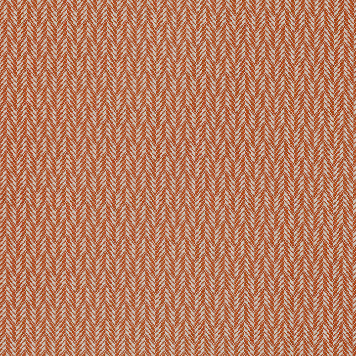 Oxana Shadow Tygprov - Saffron