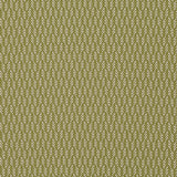 Oxana Shadow Tygprov - Pesto