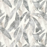 Arboretum Eucalyptus - Romo Tyg