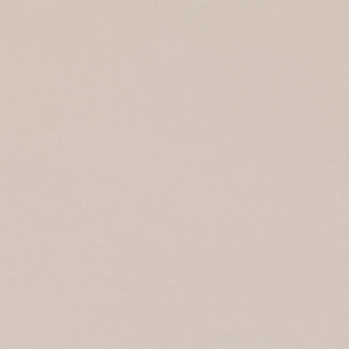 Celino Tygprov Stucco