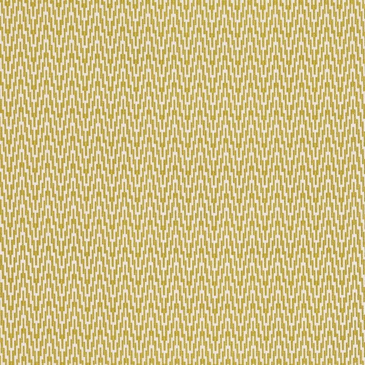 Lopez Wasabi - Romo Tyg