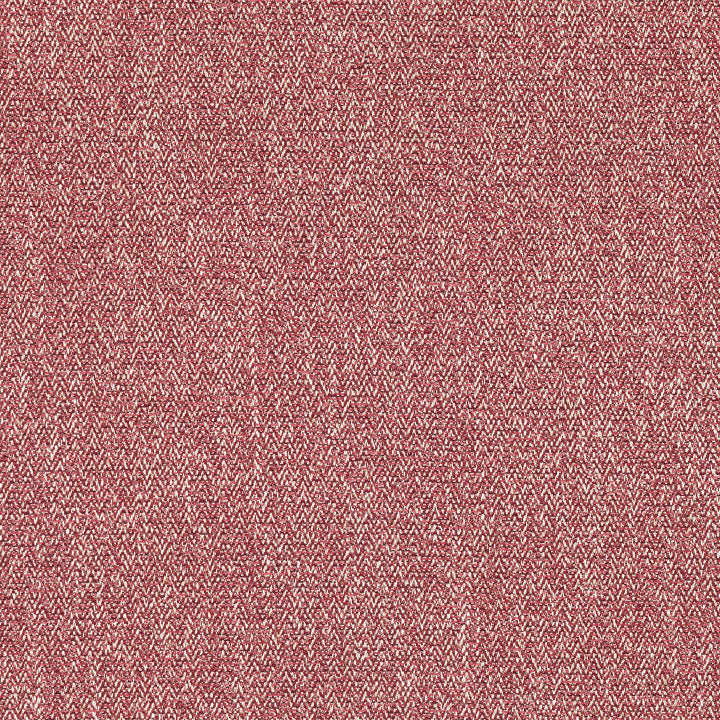 Acara Pomelo - Romo Tyg