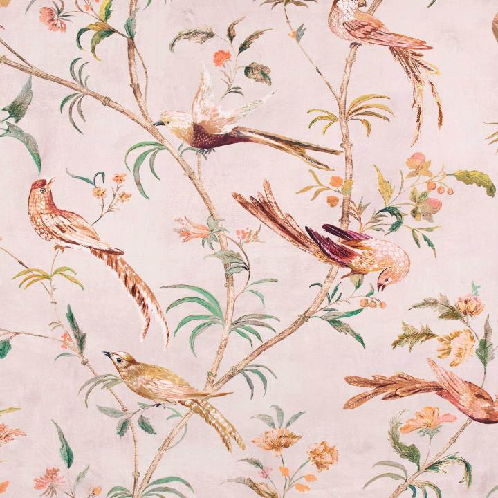 Pluma Blush