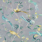 Pluma Jade