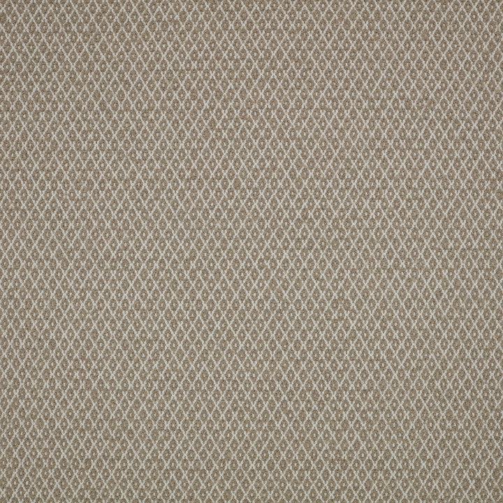 Quito Taupe - Romo Tyg