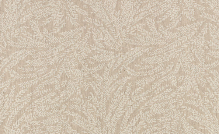 Cicely Tygprov Chamois