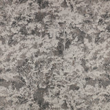 Sikora Charcoal
