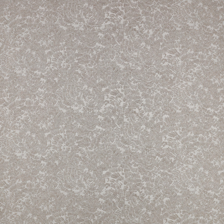 Shiri Quartzite