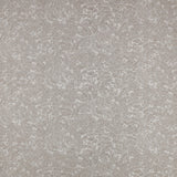 Shiri Quartzite