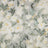 Lichen