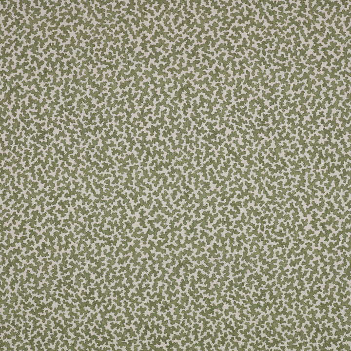 Junie Matcha