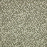 Junie Matcha