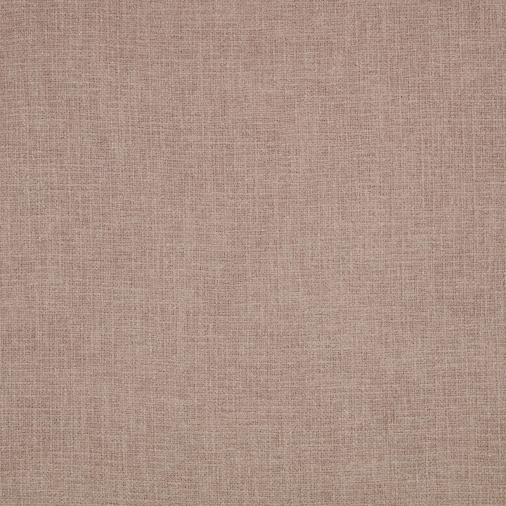 Kaia Wild Rose