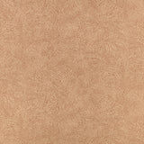 Nivu Cinnamon