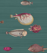 Acquario — Sample / Dark Viridian