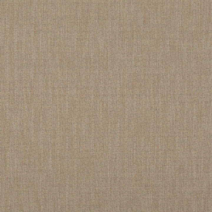 Canyon Tygprov - Bronze