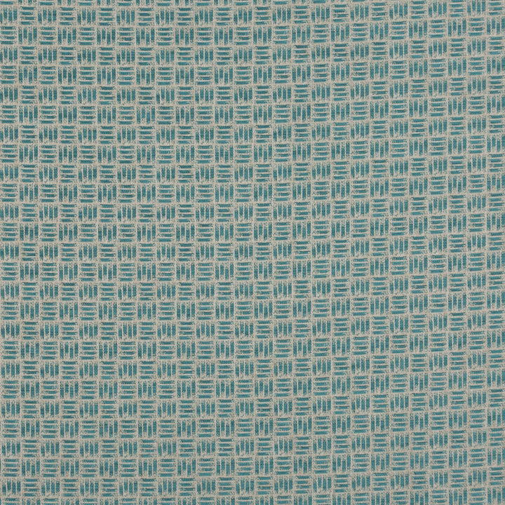 Seismic Tygprov - Peacock