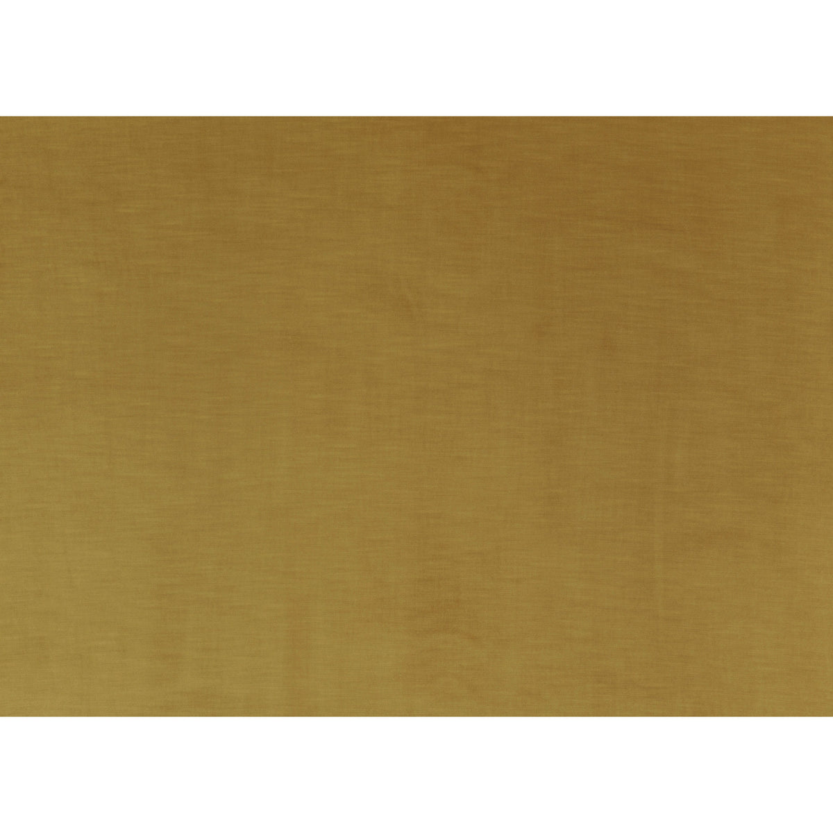 Coniston Velvet Ochre tyg