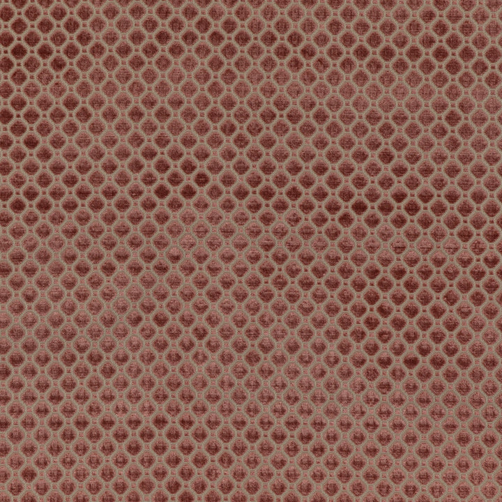 Indus Velvet Tygprov