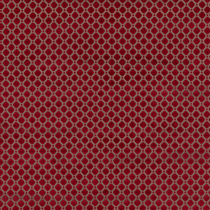 Indus Velvet Tygprov