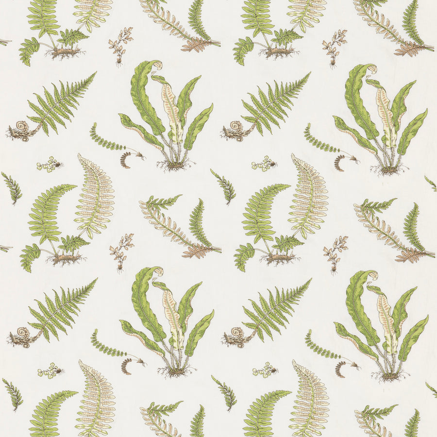 Ferns Embroidery — Burford