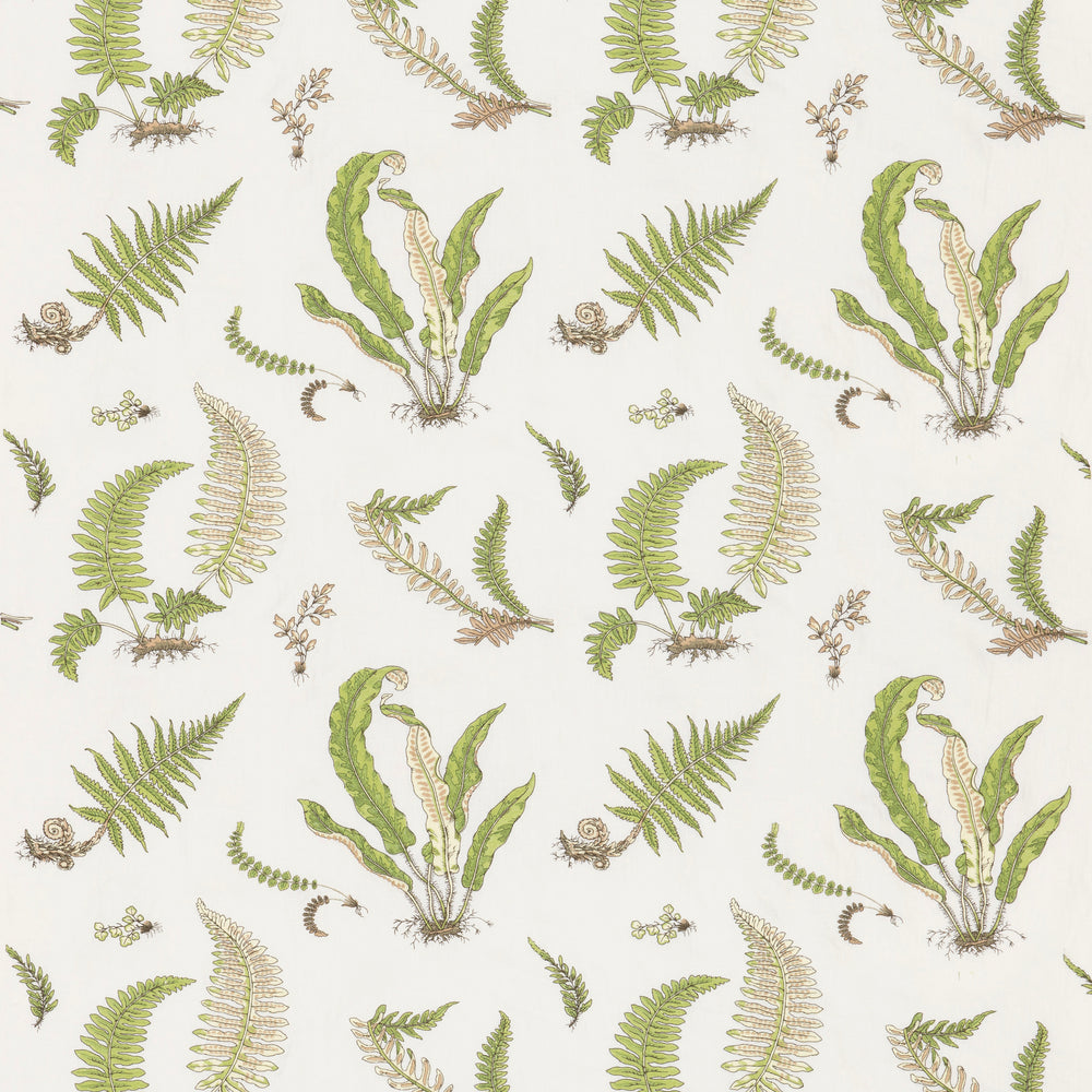 Ferns Embroidery Tyg