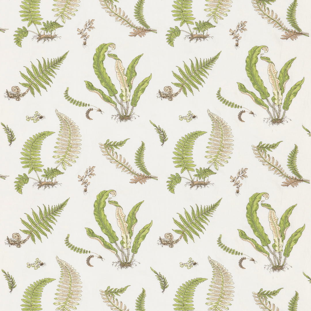 Ferns Embroidery Tyg