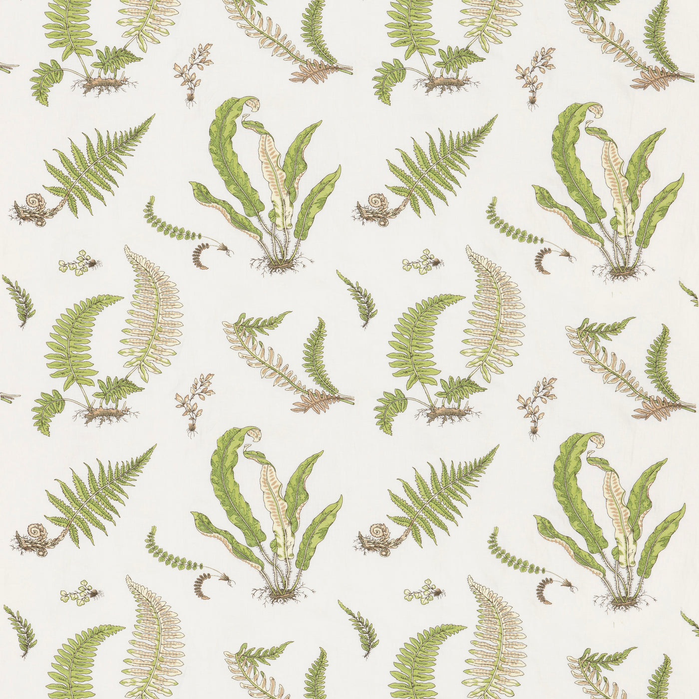 Ferns Embroidery Tyg