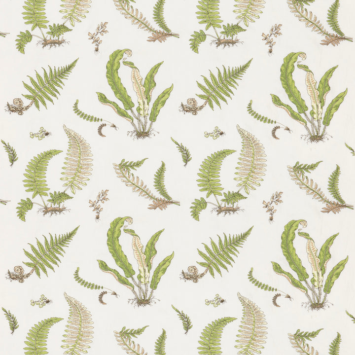 Ferns Embroidery Tyg