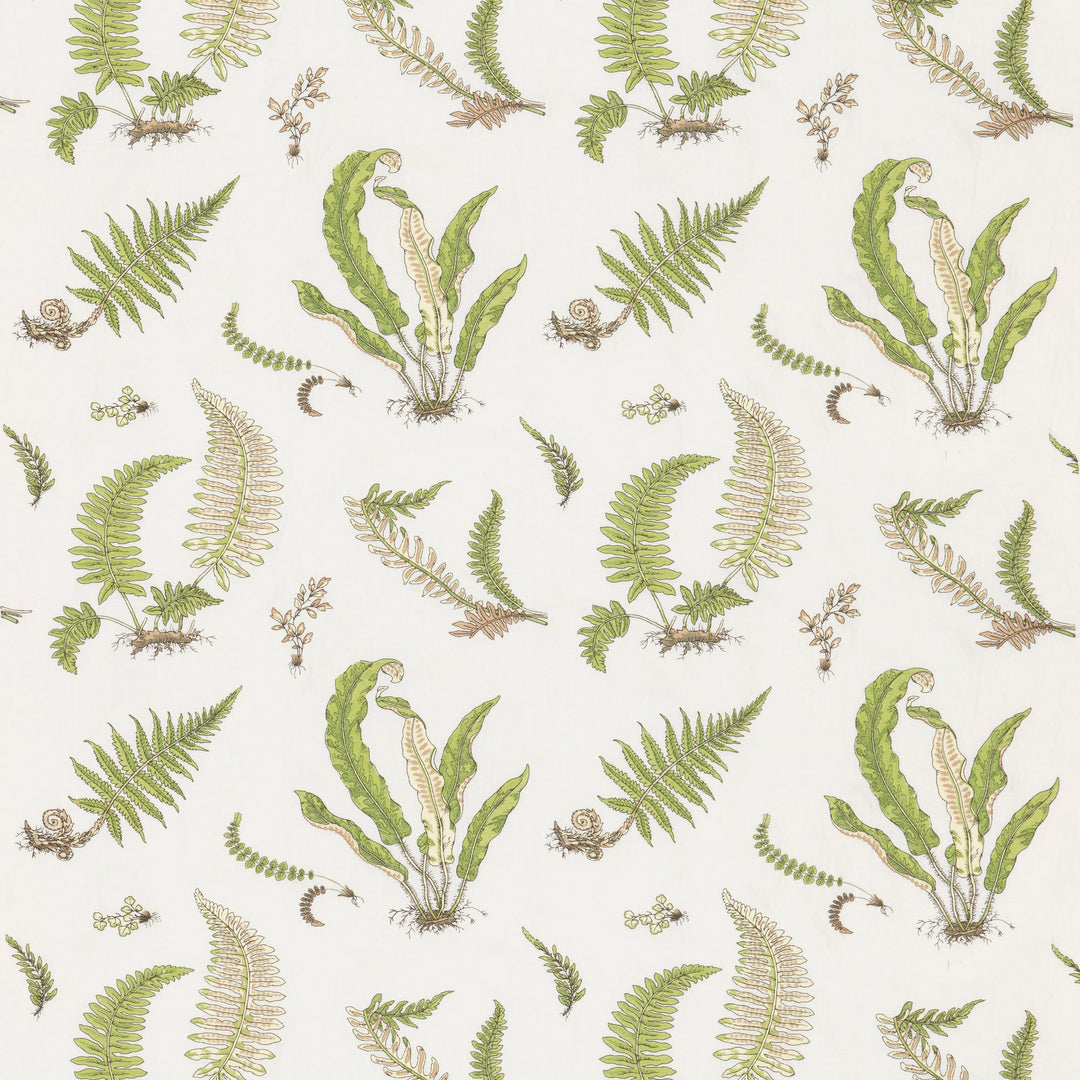 Ferns Embroidery Tygprov - Green/Natural