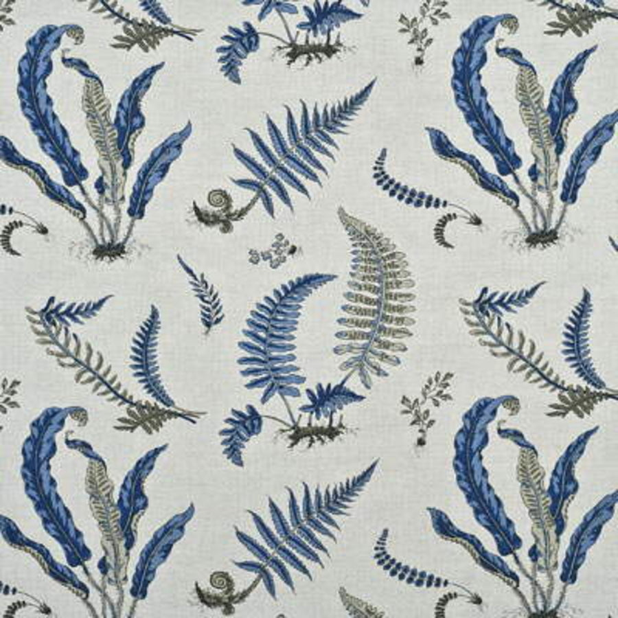 Ferns — Originals