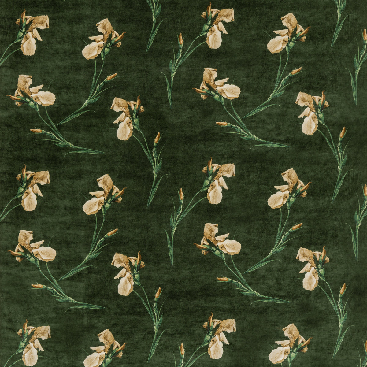 Baker Iris Emerald tyg