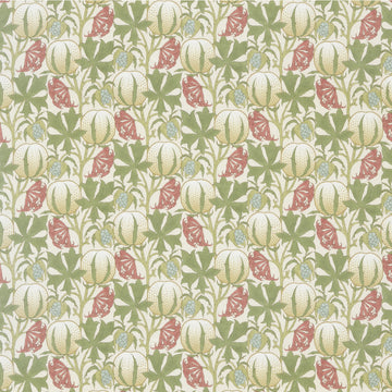 Pumpkins Cotton Tygprov - Coral/Green