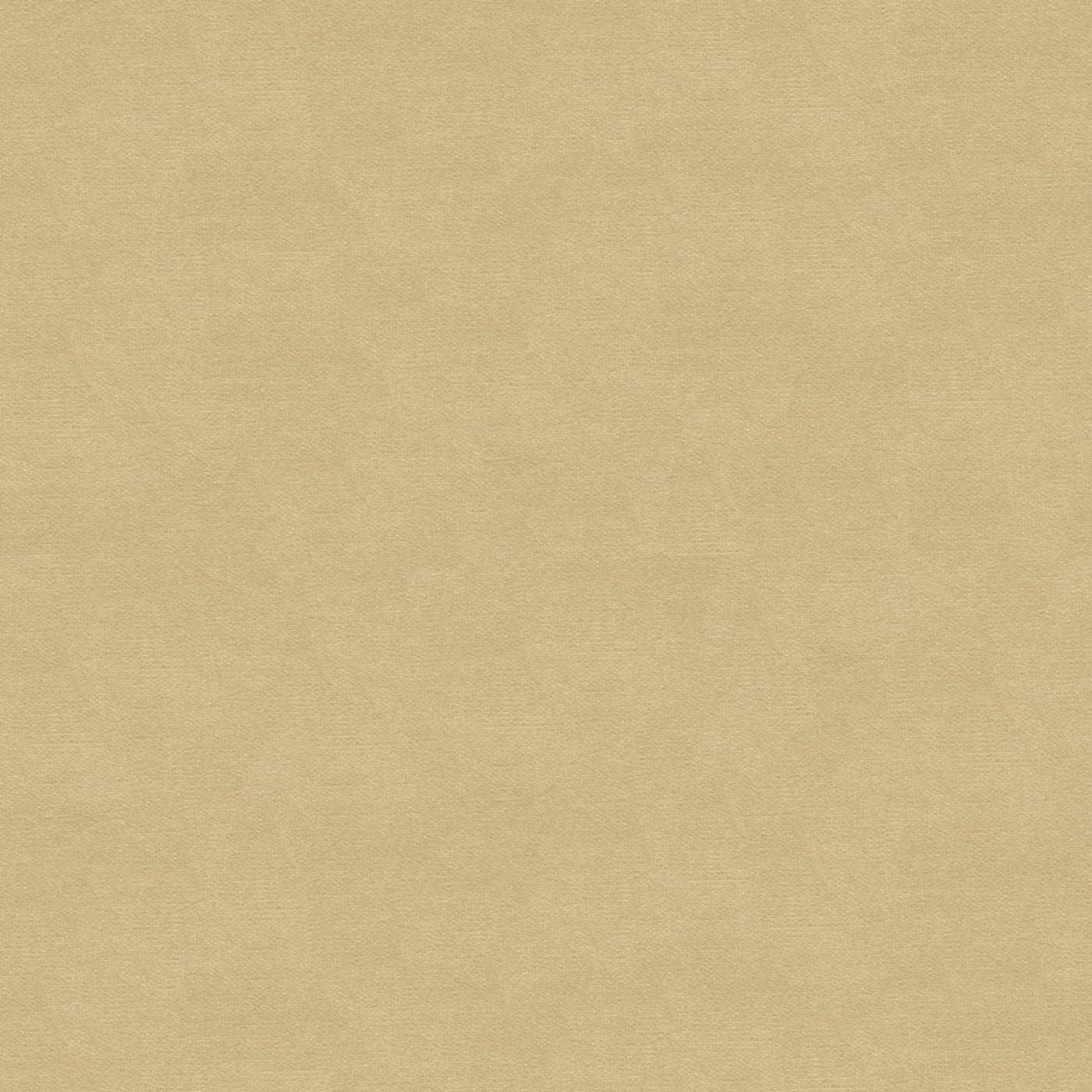 Lubeck Cotton Velvet Tyg