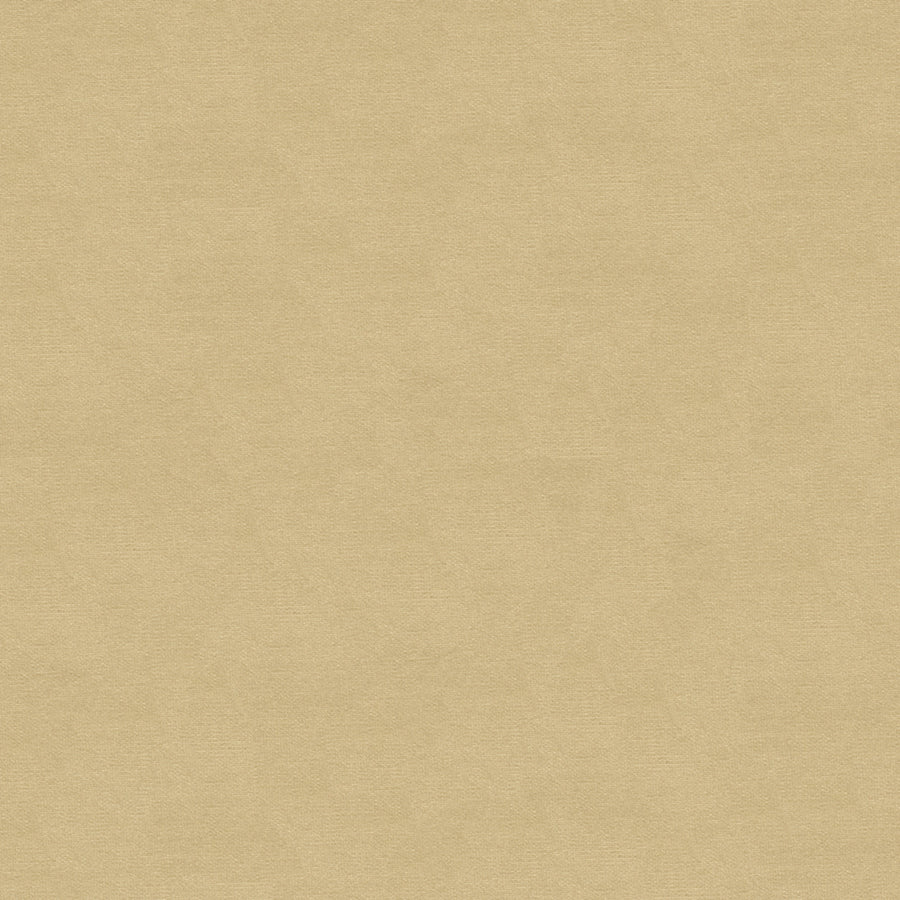 Lubeck Cotton Velvet Tyg — Brunschwig & Fils