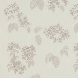 Hydrangea Sheer Tygprov - Ivory