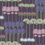Allium Tapetprov