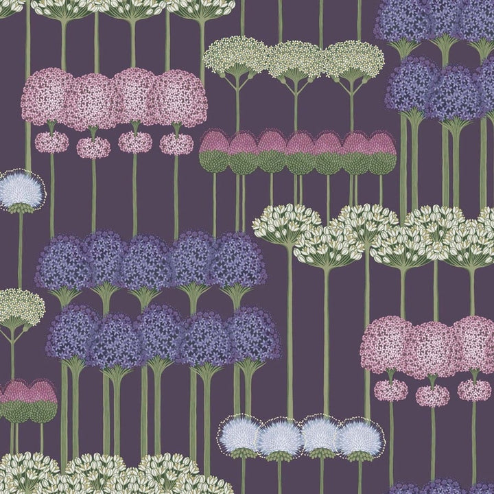 Allium Tapetprov