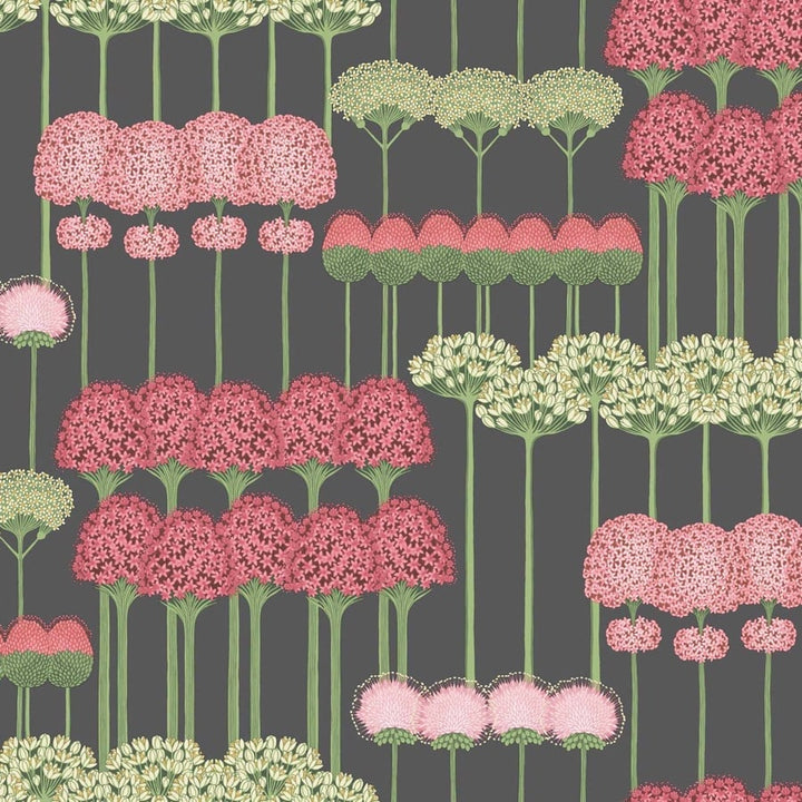 Allium Tapetprov