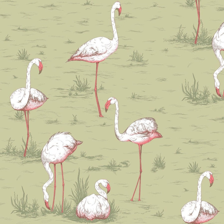 Flamingos Tapetprov